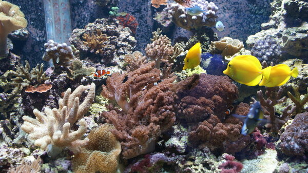 overzicht 27-01-2018.JPG