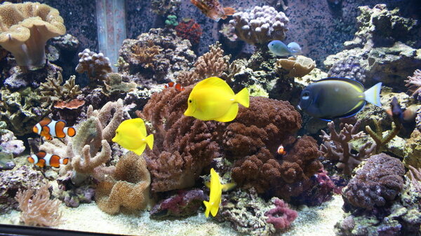 overzicht3 27-01-2018.JPG