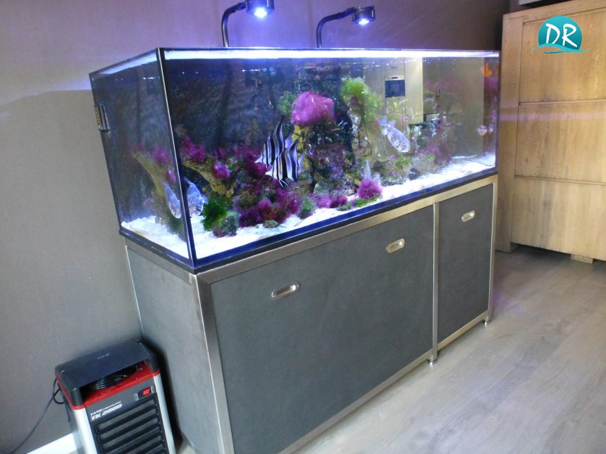 P1010616.jpg