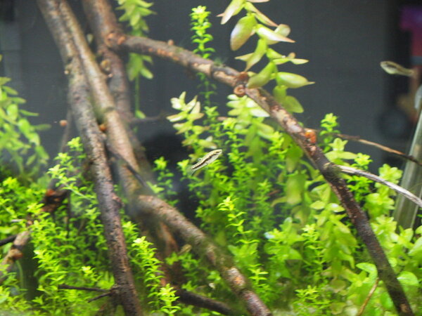P1015107.JPG
