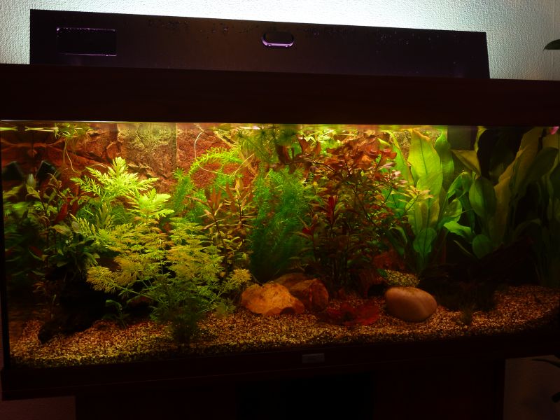 p1020913f.jpg