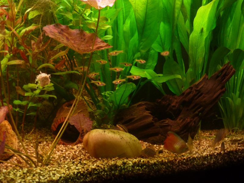 p1030048k.jpg