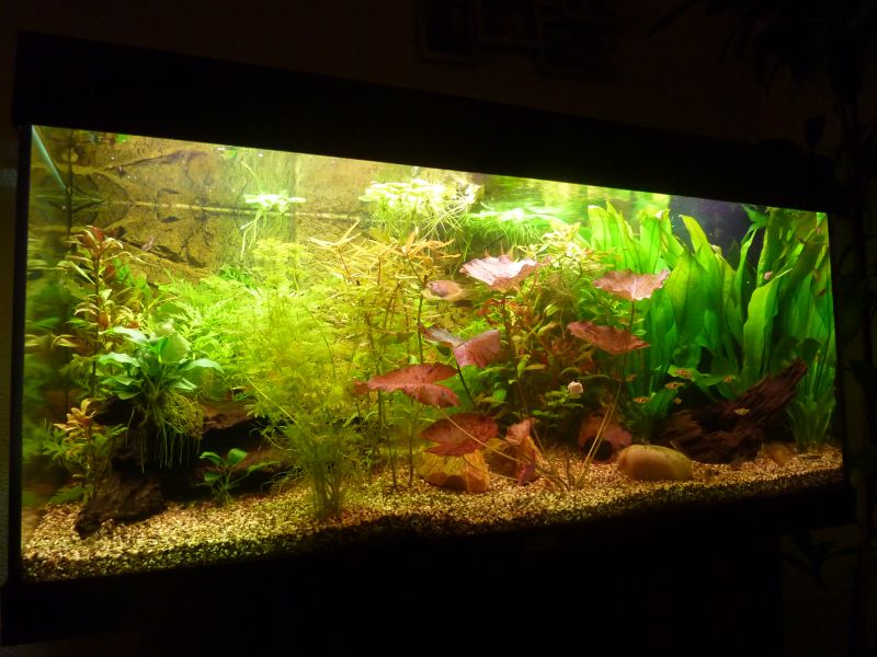 p1030056k.jpg