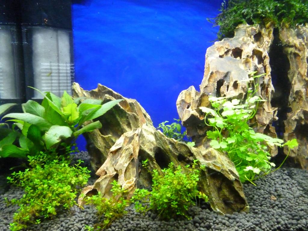 P1140140 (1024x768).jpg