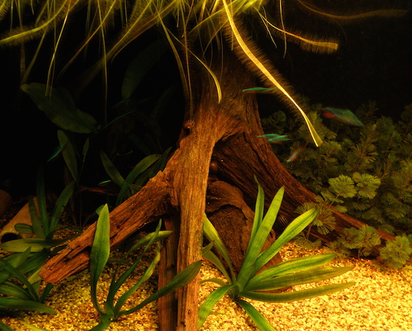 p7060044.jpg
