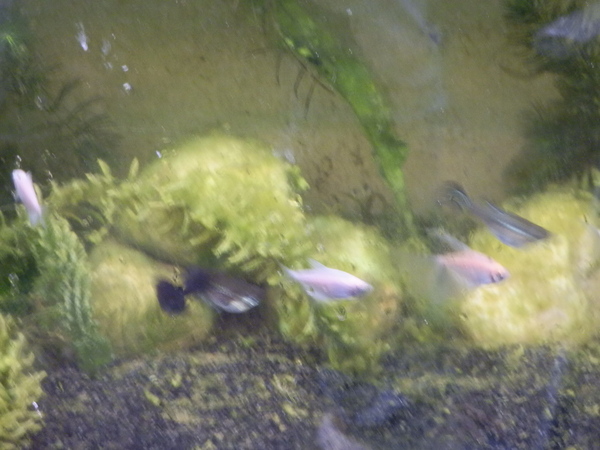 P7144300.JPG