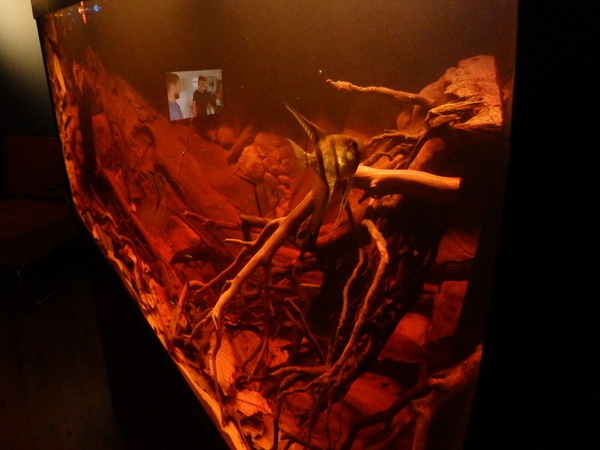 PA070657.JPG