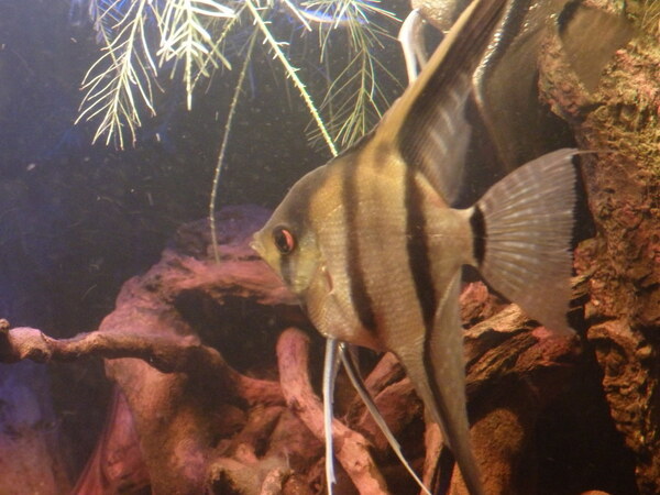 PA130680.JPG