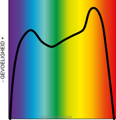 par-lichtspectrum-planten-licht.jpg