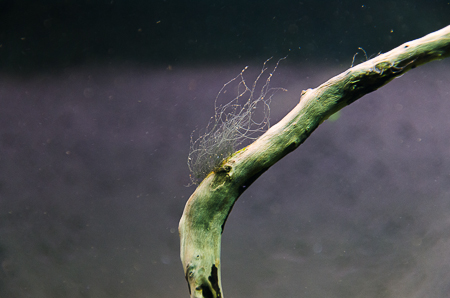 pb7_3818-2.jpg