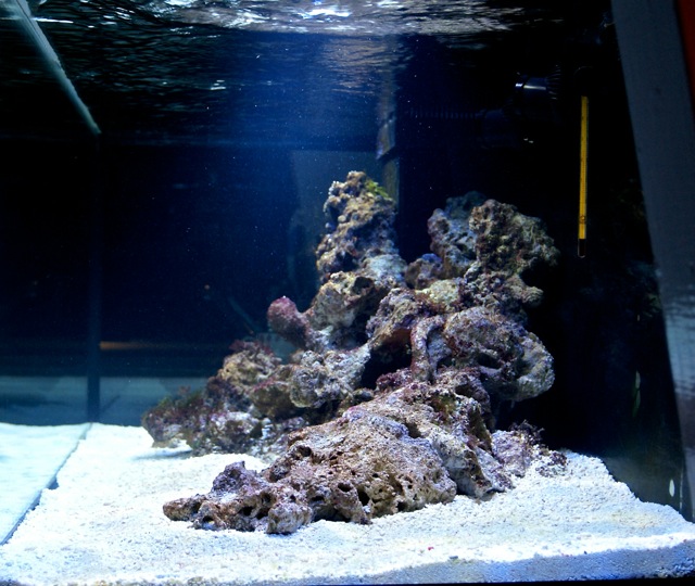 pdvfr-zeeaquarium-00048.jpg