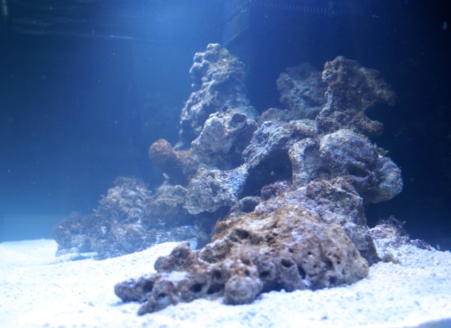 pdvfr-zeeaquarium-00058.jpg