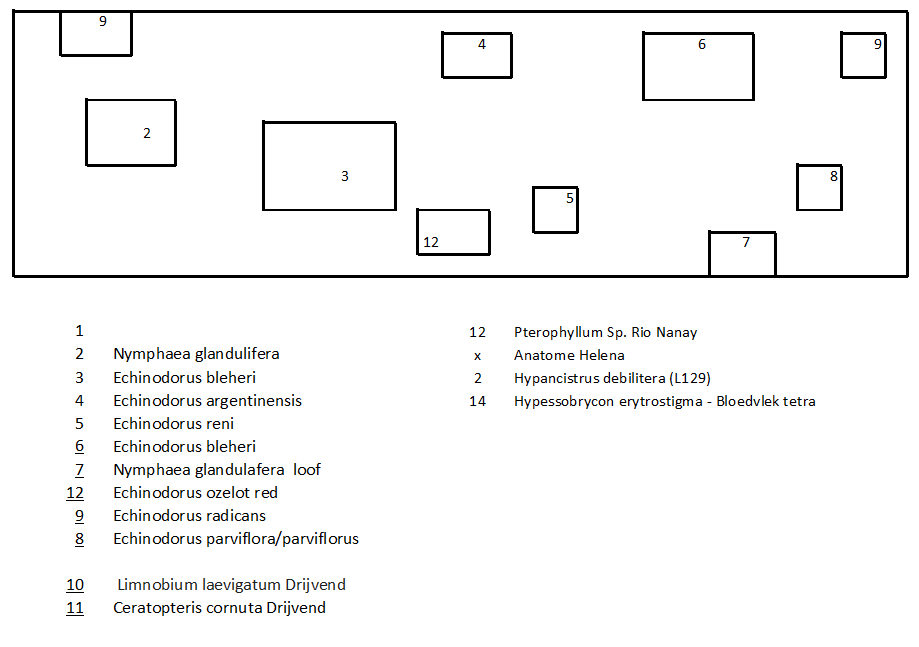 Plant indeling.jpg