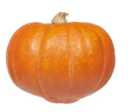 pompoen1.png