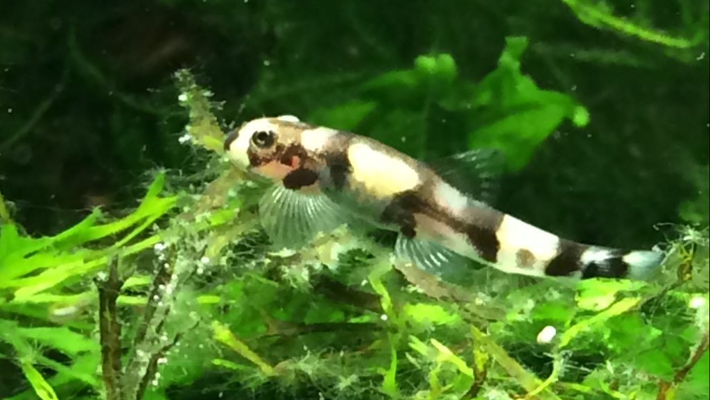 Pv-s9sMvsLQzG_ewIVSY2pnLEbmZd_D_.png Pv-s9sMvsLQzG_ewIVSY2pnLEbmZd_D_.png