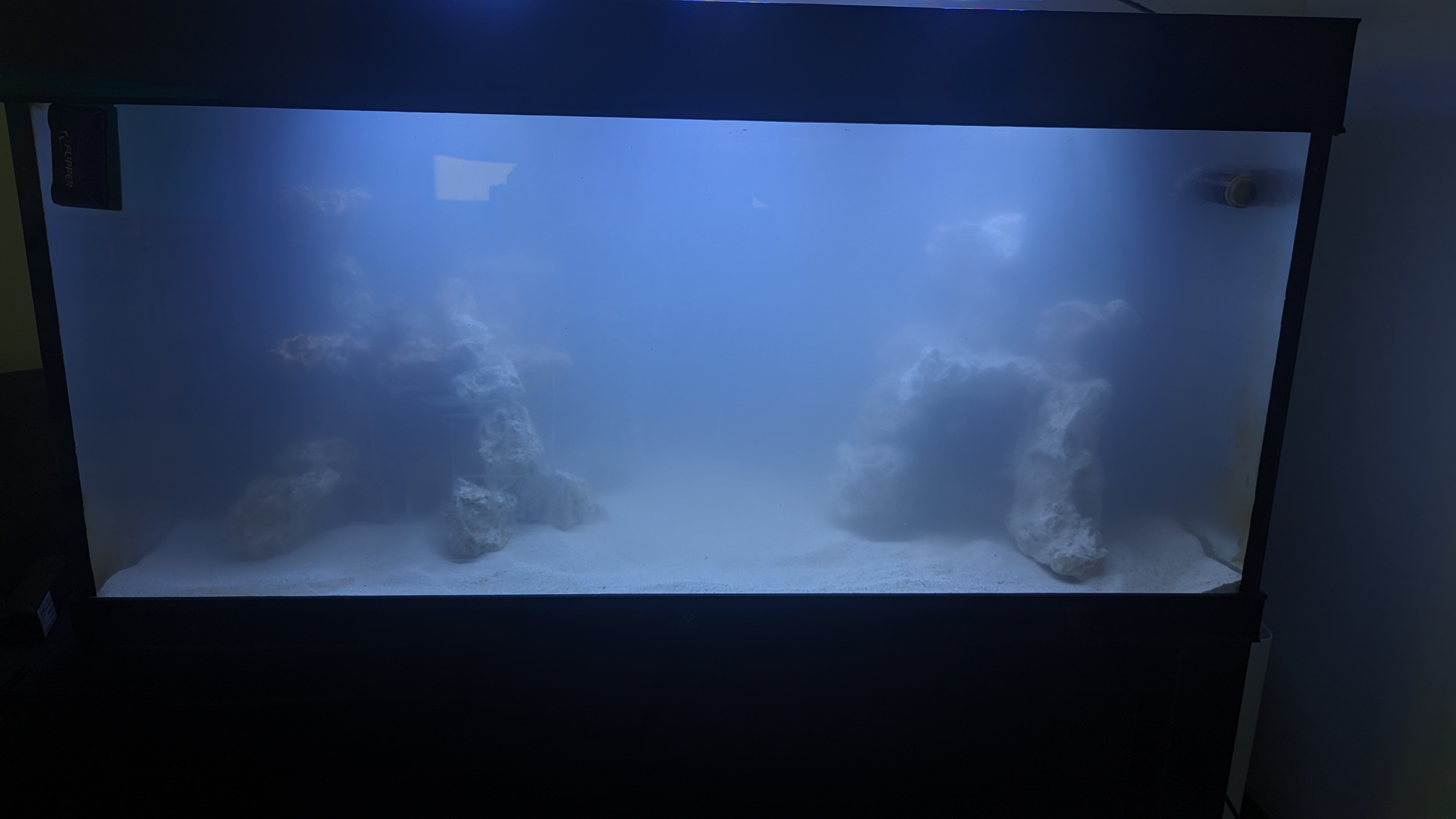 PXL_20230916_120159952.jpg