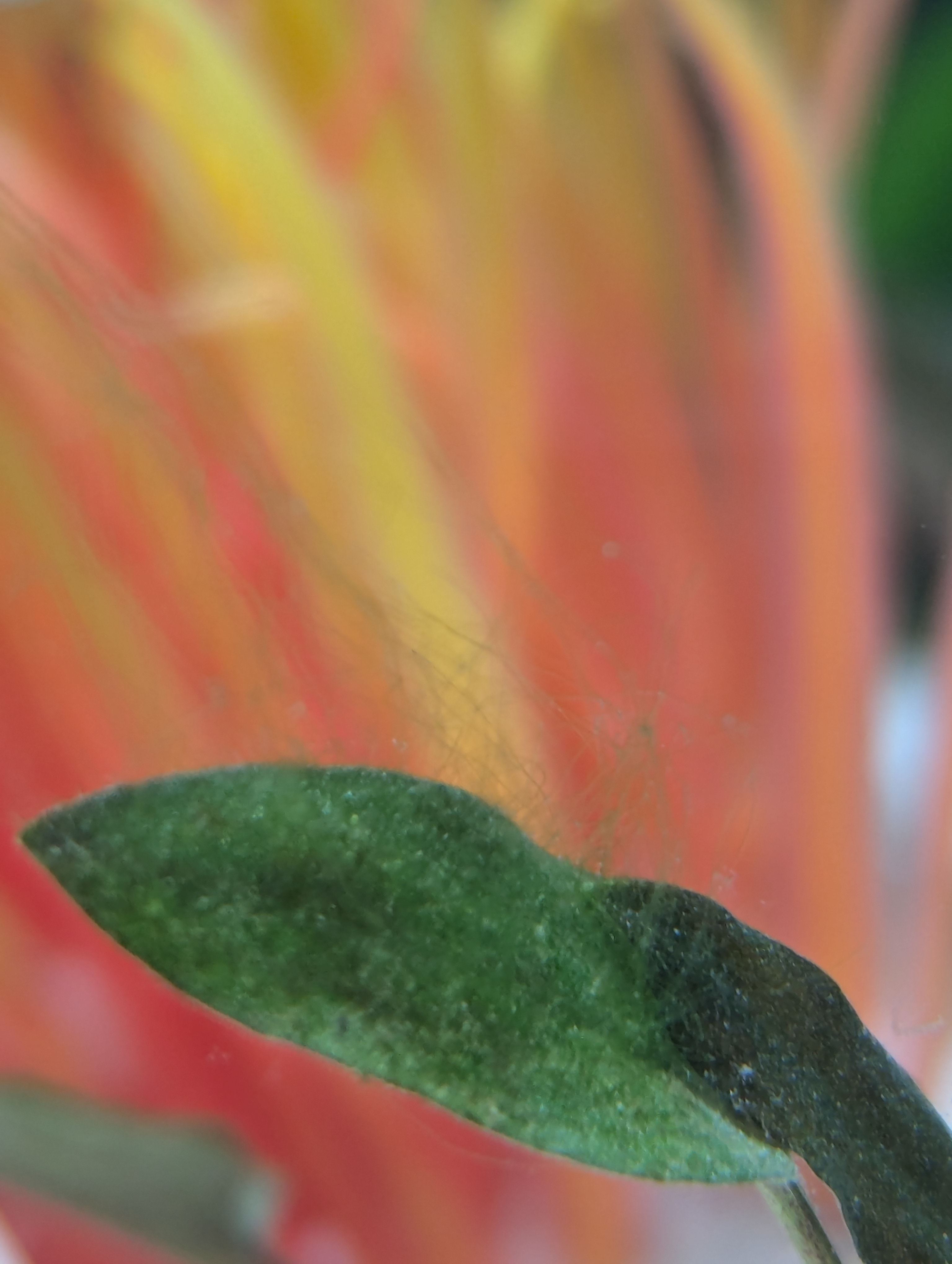 PXL_20240812_145412069.jpg