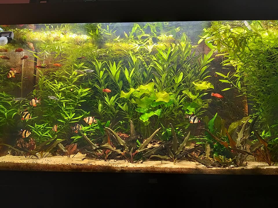 Rio350-2.jpg