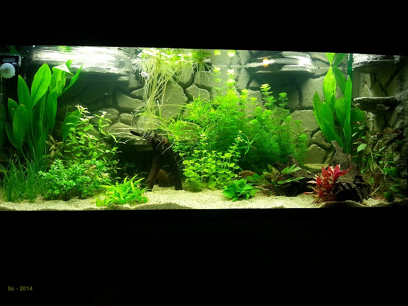 rio_240_totaal_2,5_week.jpg