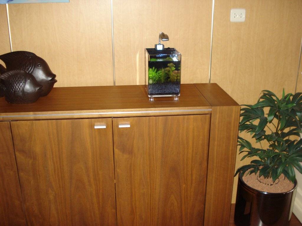 Schemerlamp met een thema 001.JPG