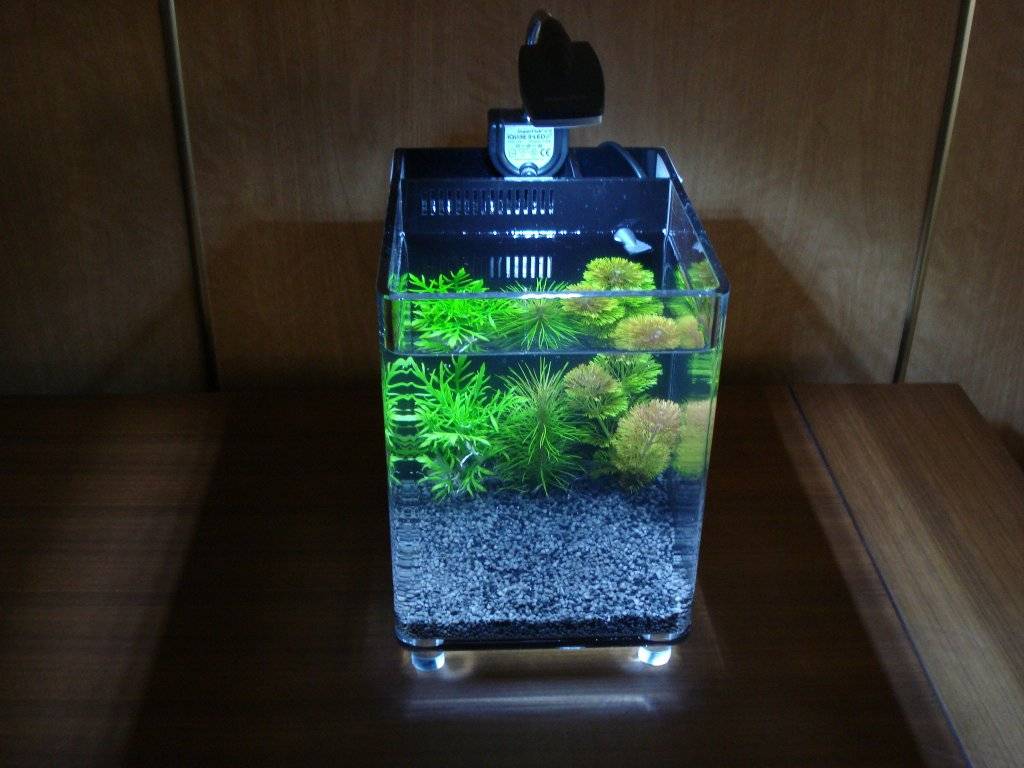 Schemerlamp met een thema 002.JPG