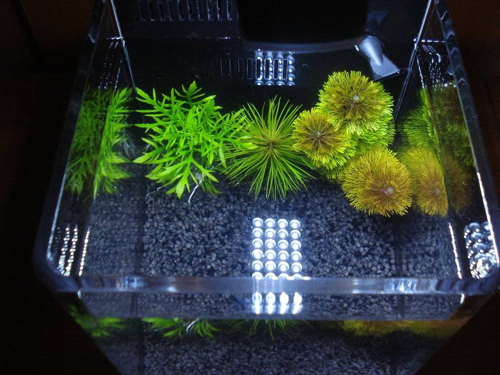 Schemerlamp met een thema 003.JPG