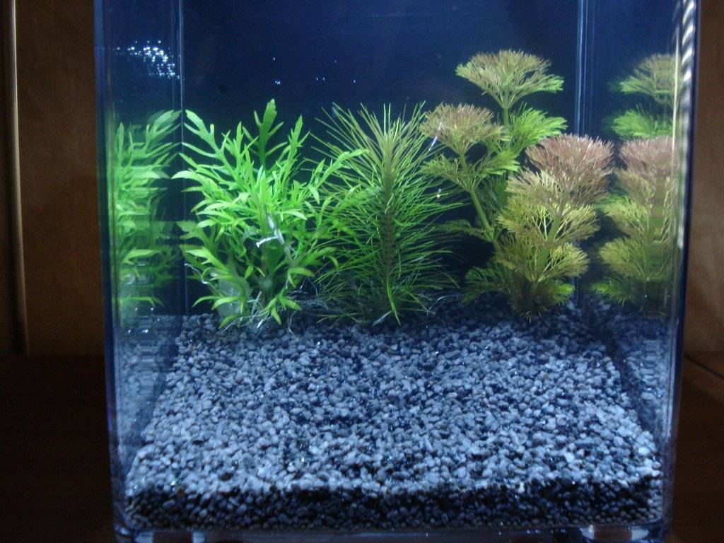 Schemerlamp met een thema 004.JPG