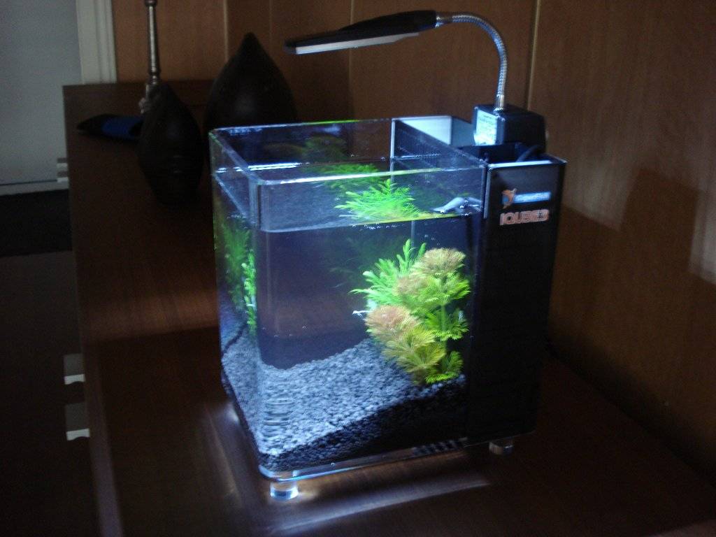 Schemerlamp met een thema 005.JPG