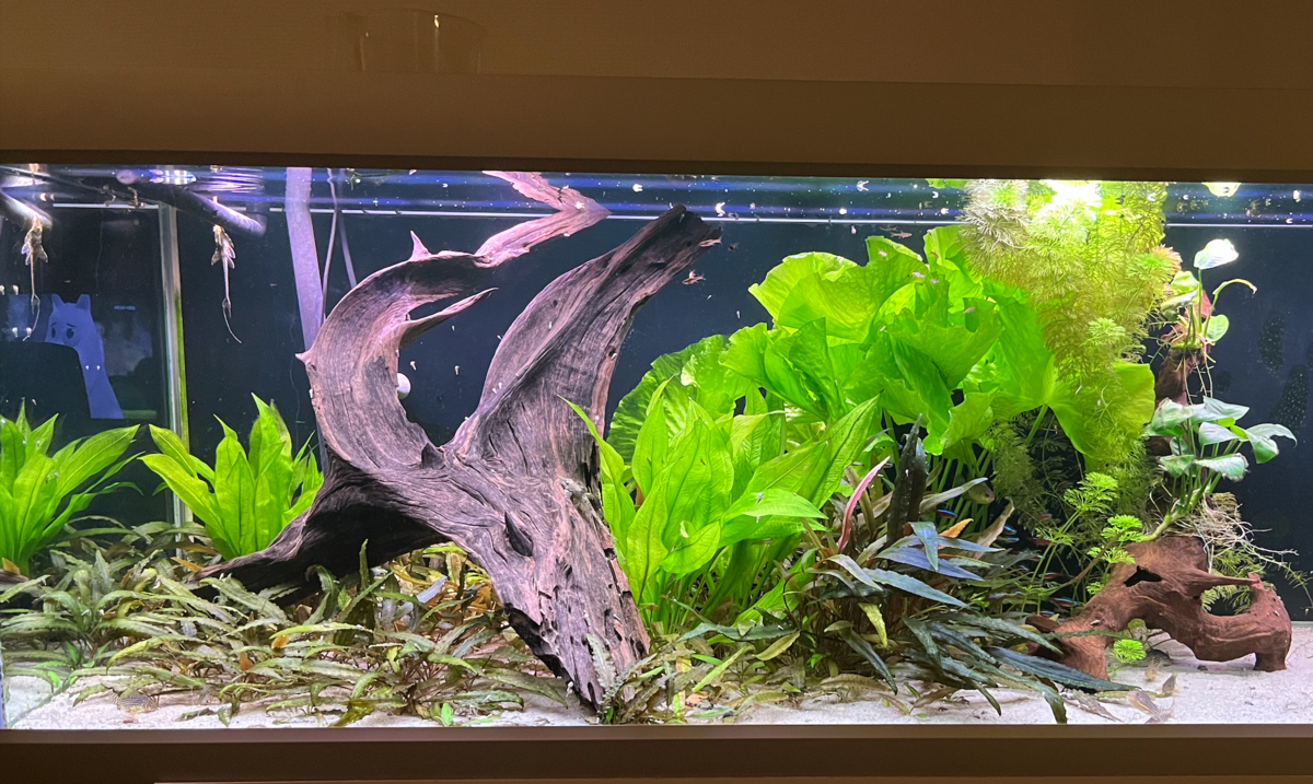 Schermafbeelding 2023-01-27 om 13.22.11.png