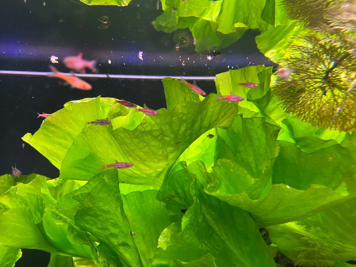 Schermafbeelding 2023-01-27 om 13.22.45.png