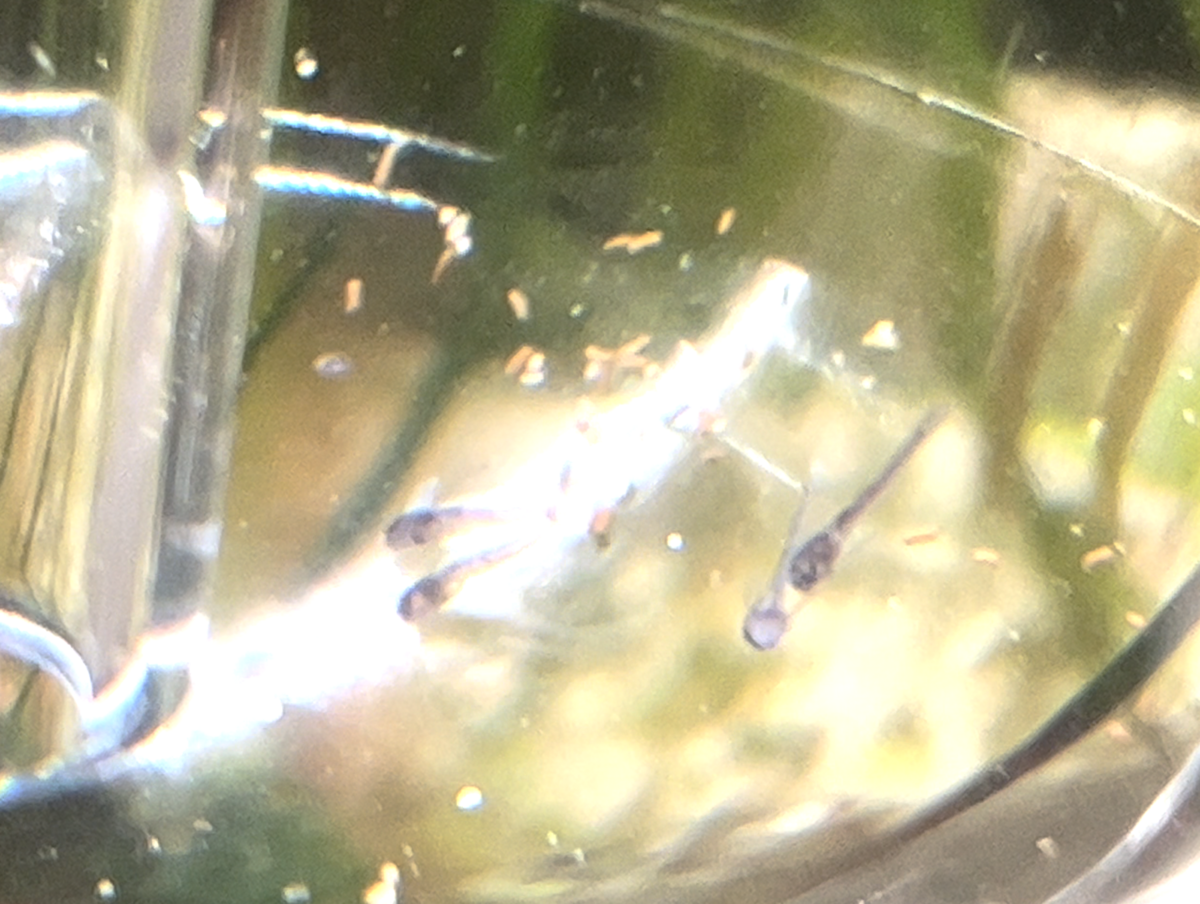 Schermafbeelding 2023-01-27 om 13.25.24.png