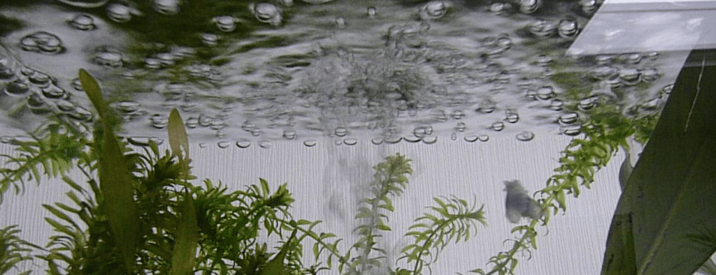 Schermafbeelding 2017-06-25 om 13.00.09.png