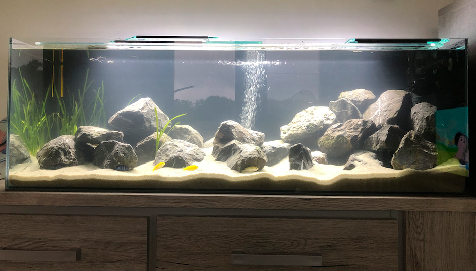 Schermafbeelding 2020-09-27 om 08.56.56.png