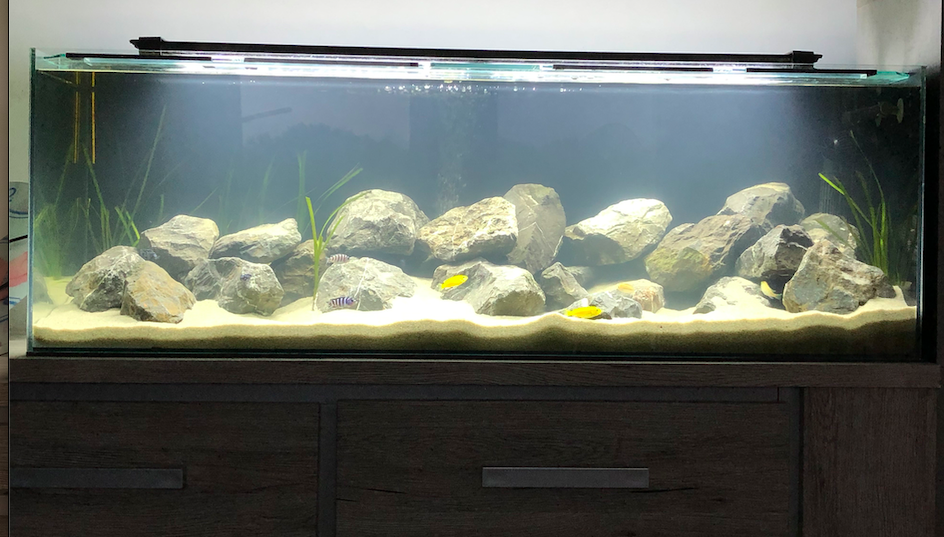 Schermafbeelding 2020-09-27 om 08.57.05.png