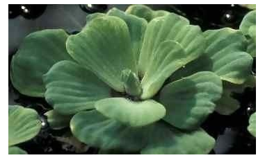 Schermafdruk op 2019-02-13 14-46-13.png