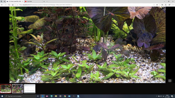 Schermopname (32).png