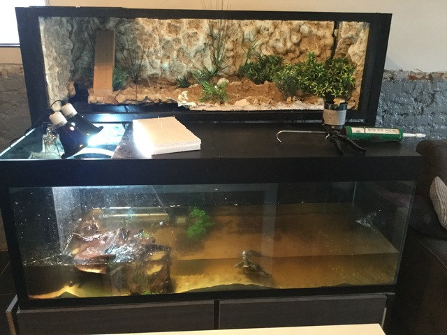 Zelfbouw above tank basking area schildpadden | AquaForum