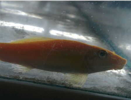 Screen Shot 2016-09-12 at 10.44.54.png