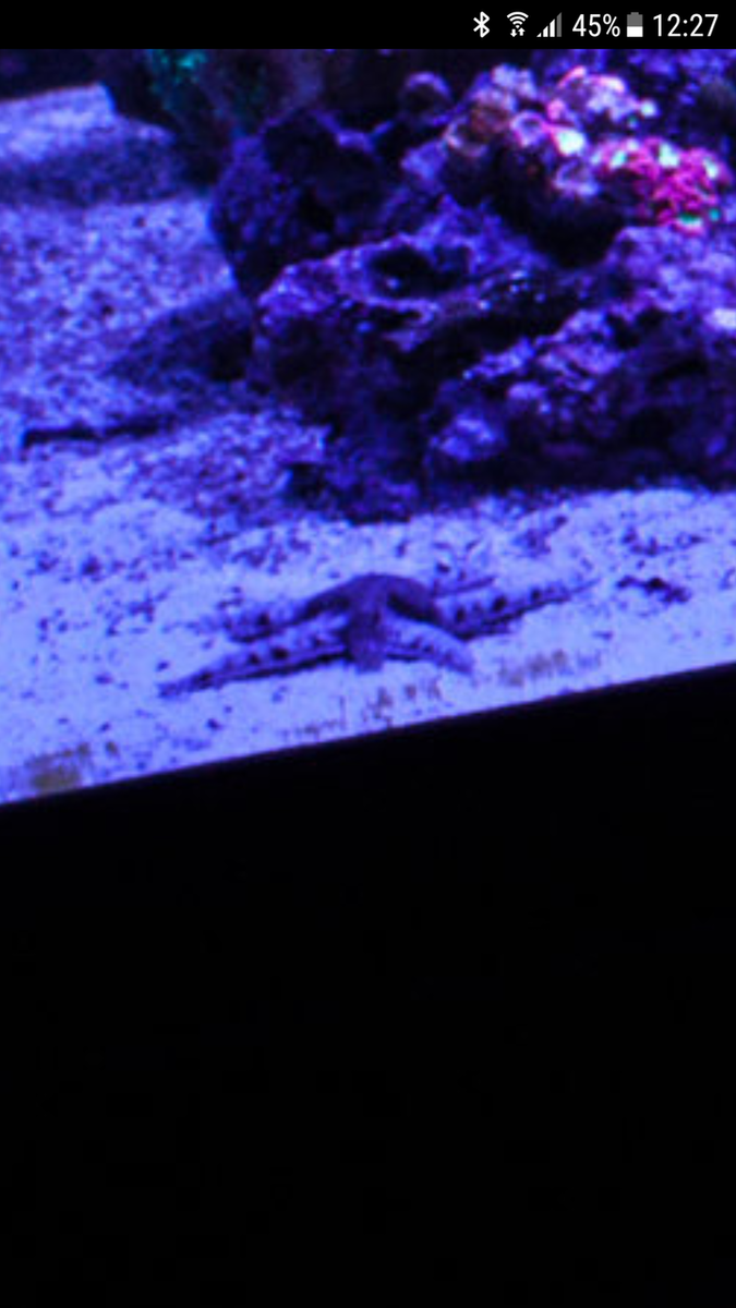 Screenshot_20180505-122743.png