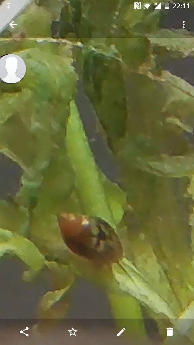 Screenshot_20180701-221121.jpg