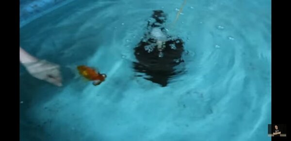 Screenshot_20190504-230318_YouTube.jpg