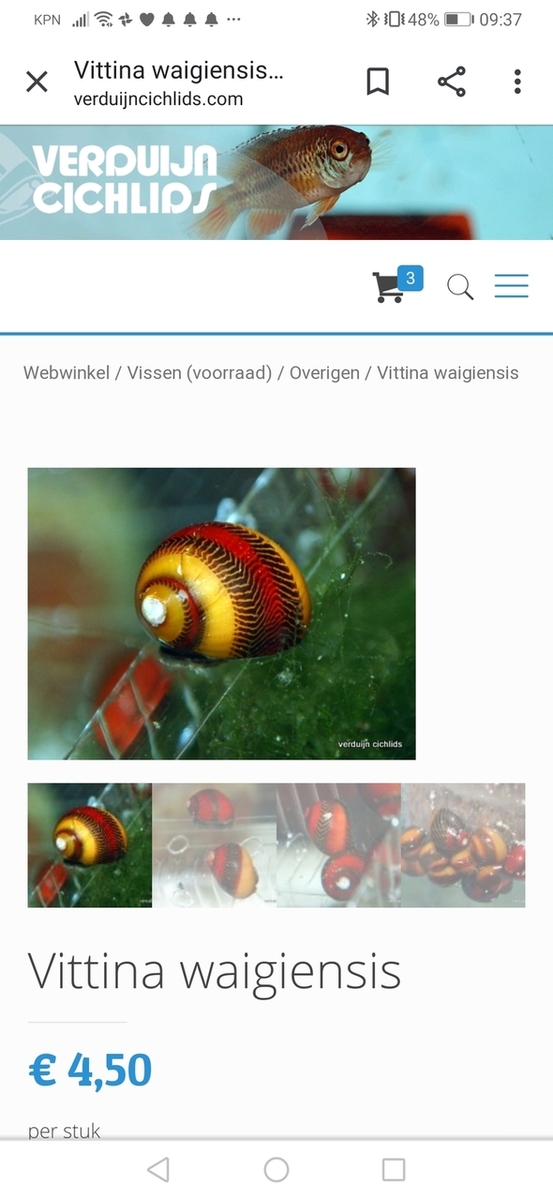 Screenshot_20191231_093754_com.android.chrome.jpg