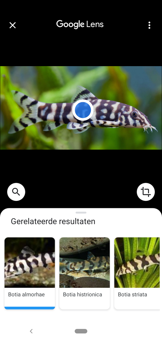 Screenshot_20210307-104431.png