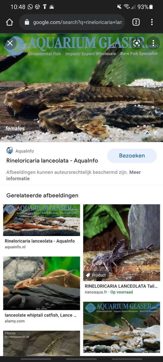 Screenshot_20211226-104809_Chrome.jpg