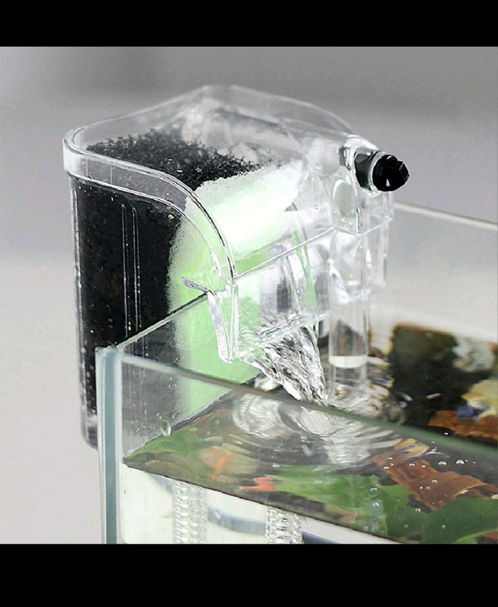 Screenshot_20220123-212850.jpg