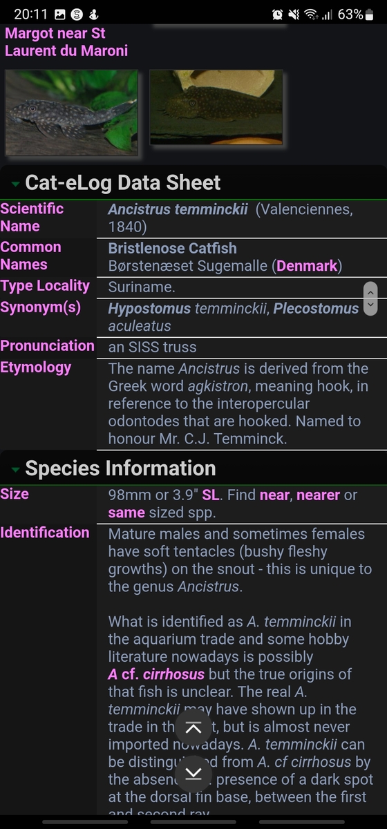 Screenshot_20220415-201105_Samsung Internet.jpg