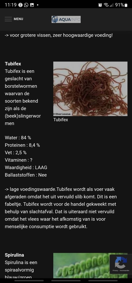 Screenshot_20220917-111902_Samsung Internet.jpg