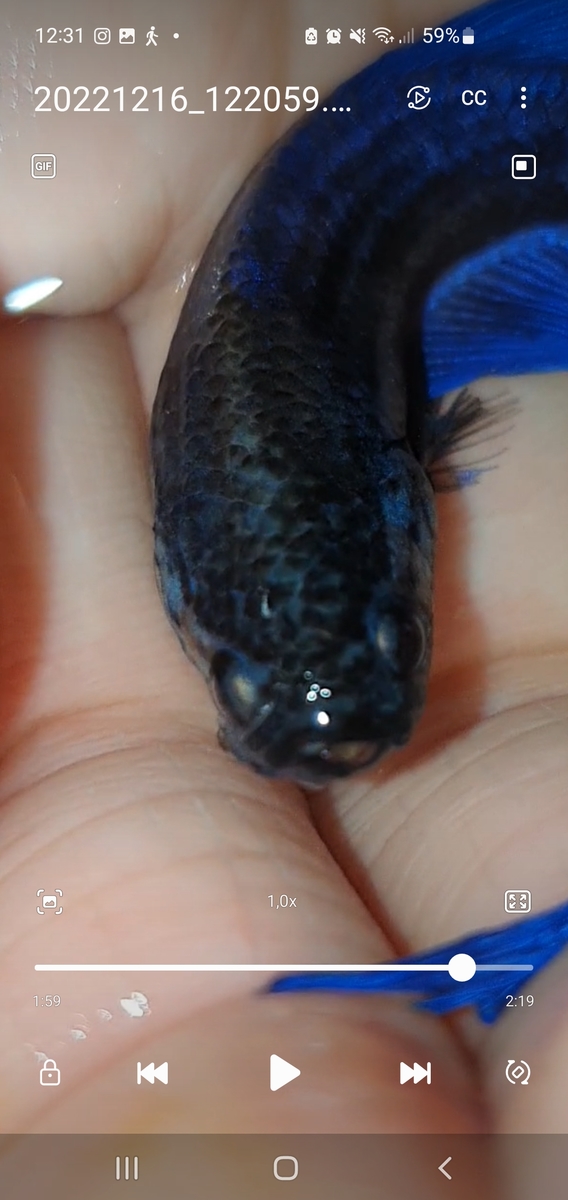 Screenshot_20221216_123101_Video Player.jpg