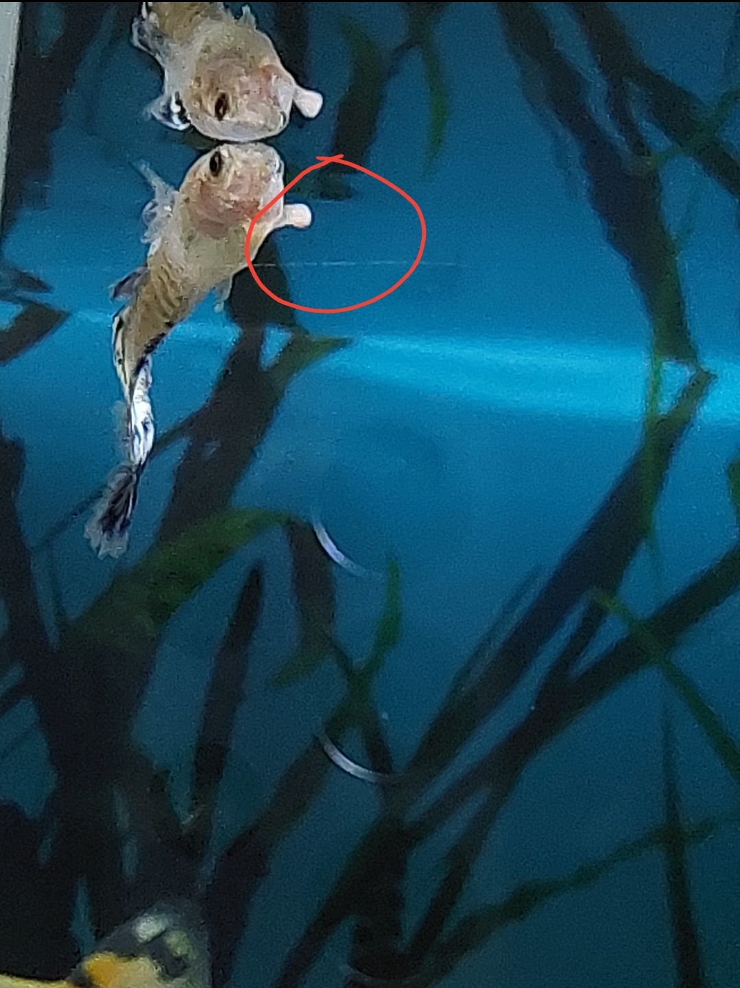 Screenshot_20231007_081843.jpg