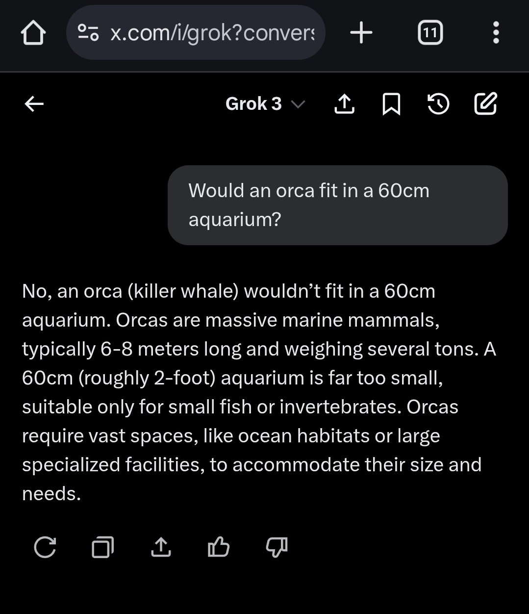 Screenshot_20250517_171215_Chrome.jpg